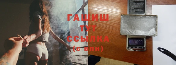 индика Надым