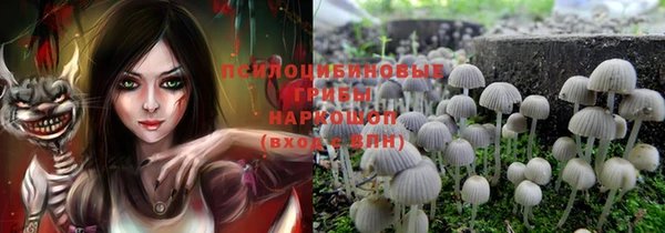 индика Надым
