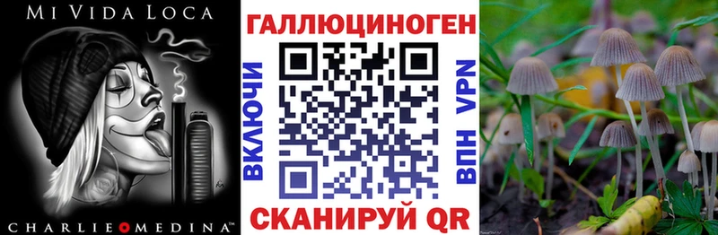 Псилоцибиновые грибы прущие грибы  kraken ONION  Медынь 